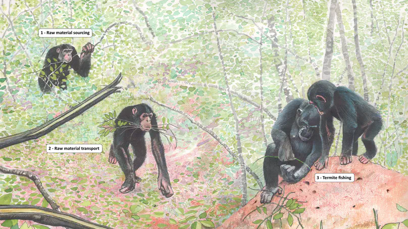 Archaeology of the Perishable